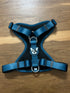 Arnes Doble Agarre Azul (acero)